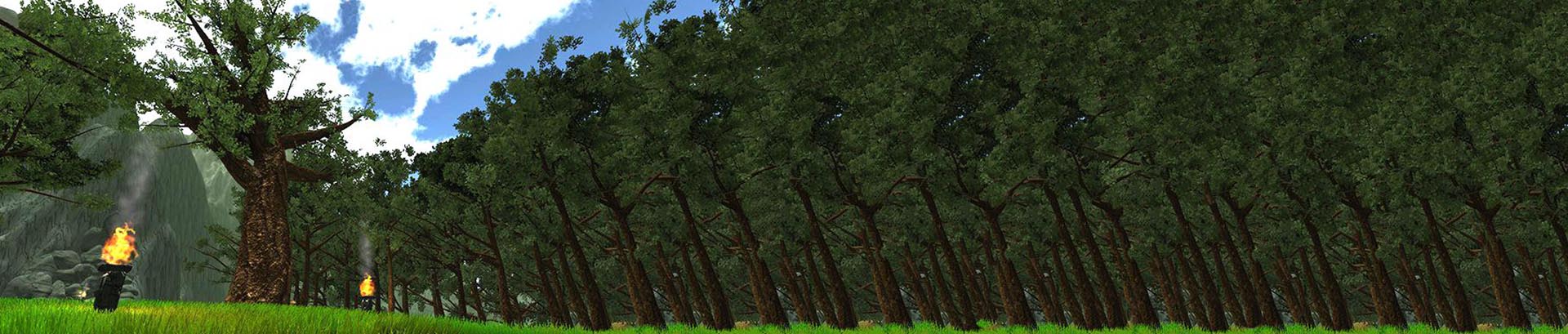 arbre